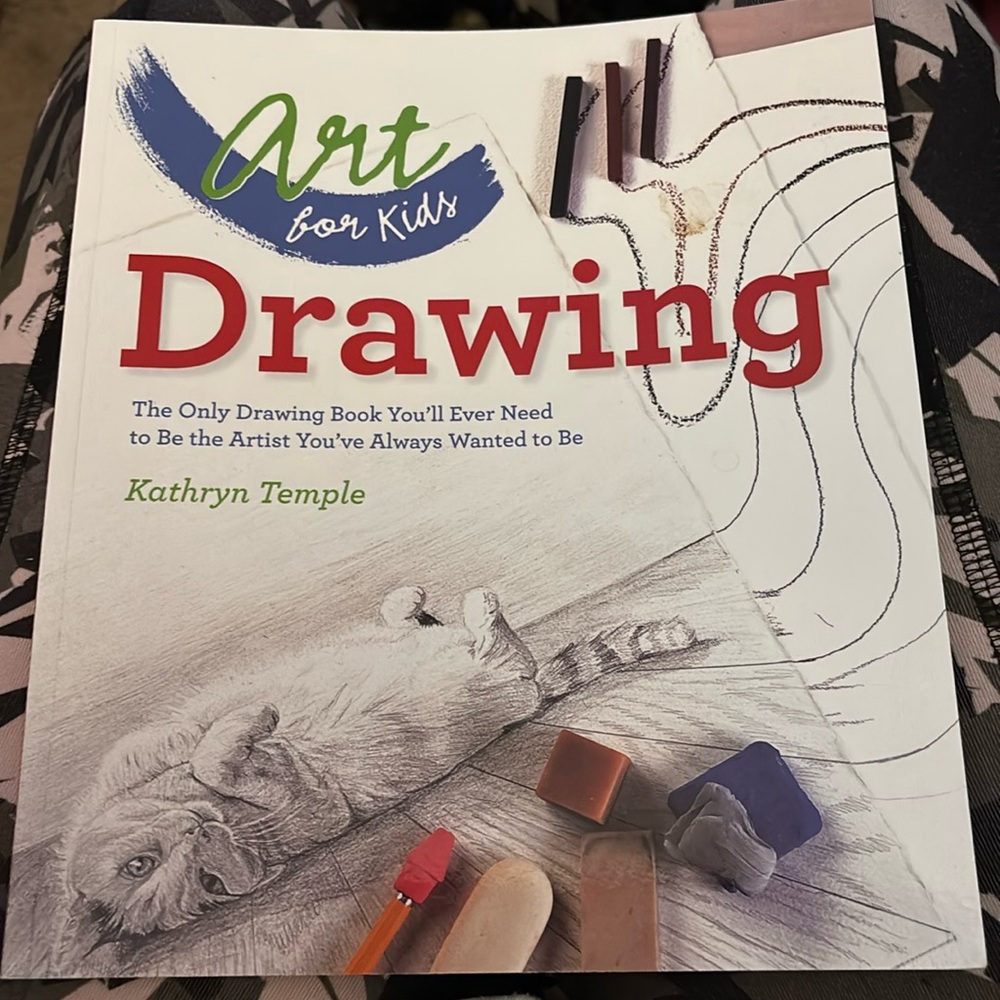 ART FOR KIDS DRAWING Paperback by Kathryn Temple 112 Pages New